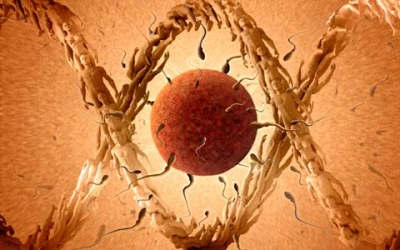 Гормональная контрацепция для мужчин